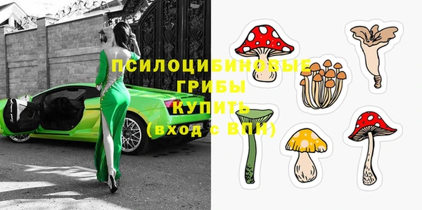 гашик Алзамай
