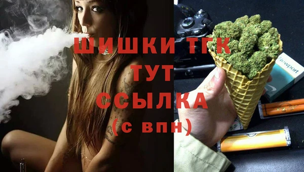 гашик Алзамай