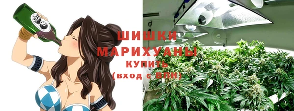 ПСИЛОЦИБИНОВЫЕ ГРИБЫ Алексеевка