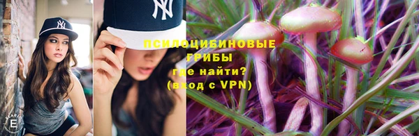 apvp Алексин