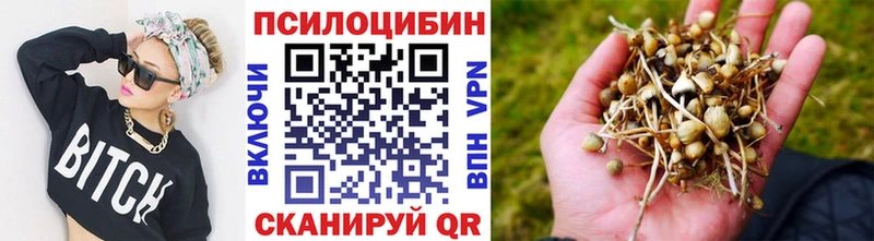 Псилоцибиновые грибы MAGIC MUSHROOMS нарко площадка официальный сайт Нефтекумск